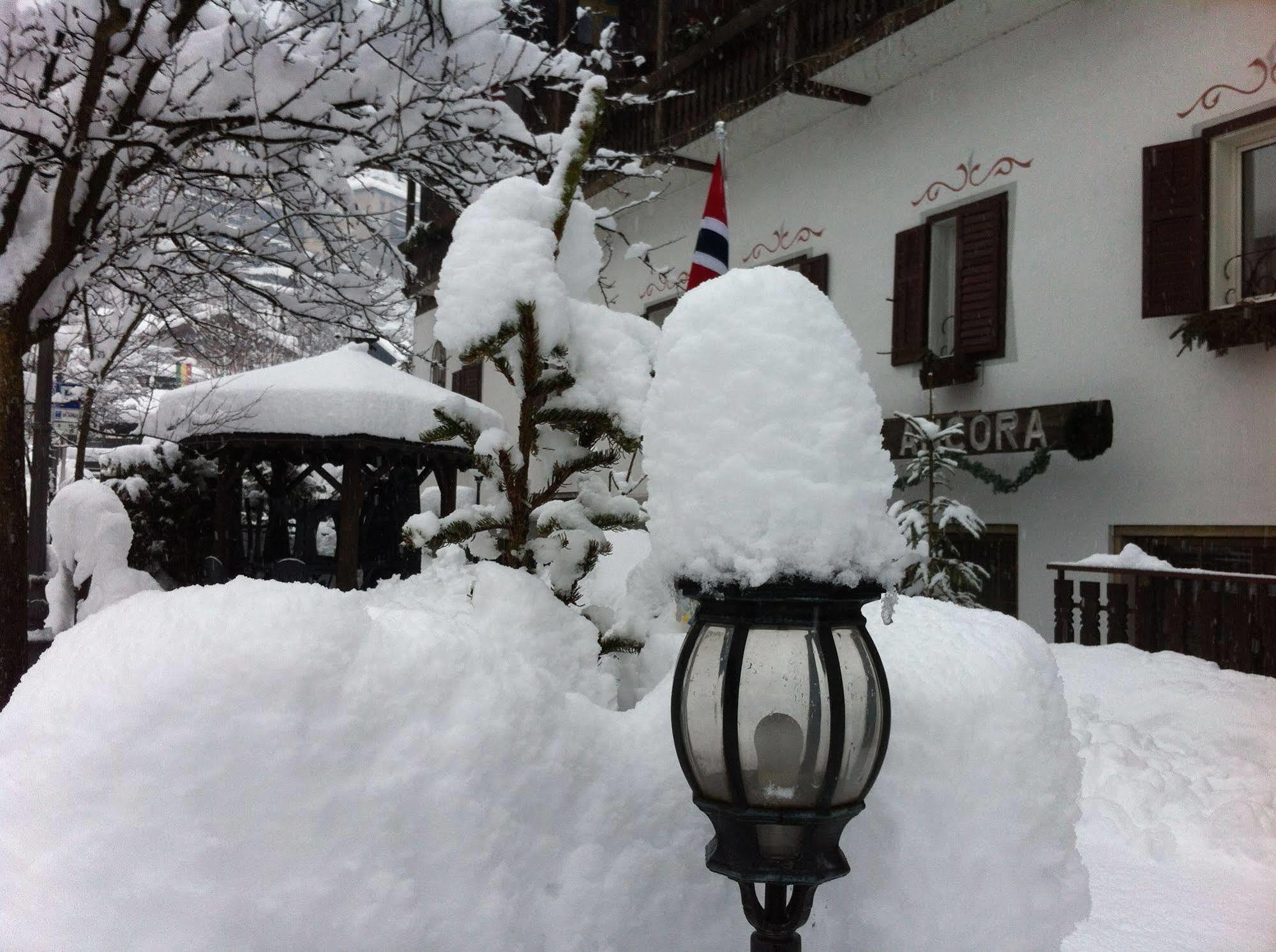 Hotel Ancora Castello-Molina di Fiemme Exteriör bild